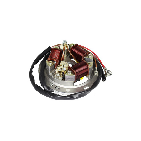Grundplatte (Stator) 6V 25/25W Unterbrecher komplett passend für SR50, SR80 (AKA ELECTRIC)